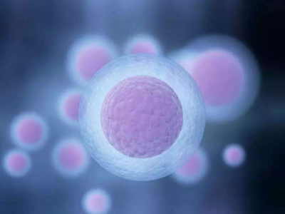 供卵对女性身体有什么要求_深圳试管婴儿如何获取优质的卵子与精子呢？